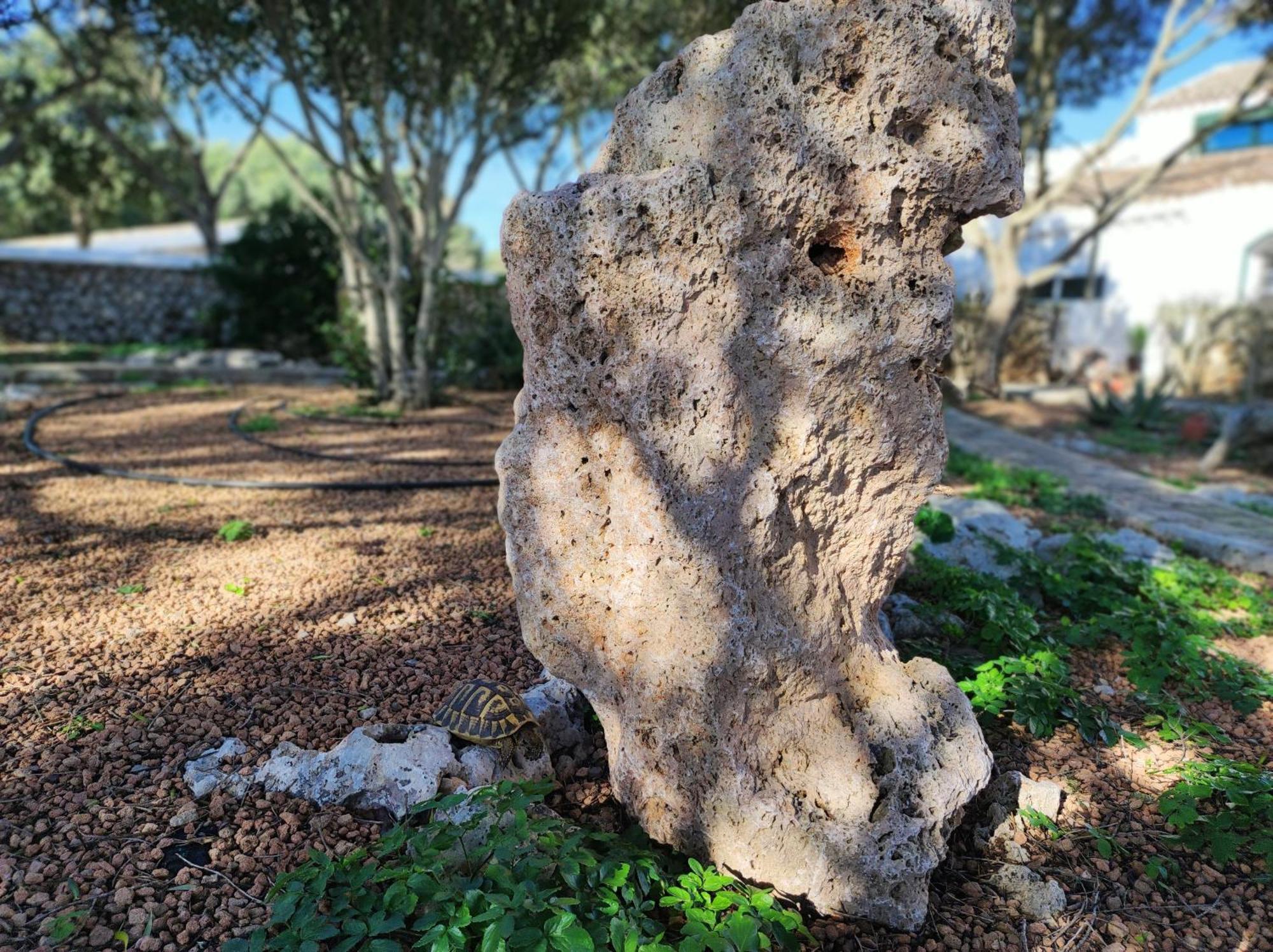 Turismo Rural Biniati Des Pi Sant Lluis Εξωτερικό φωτογραφία