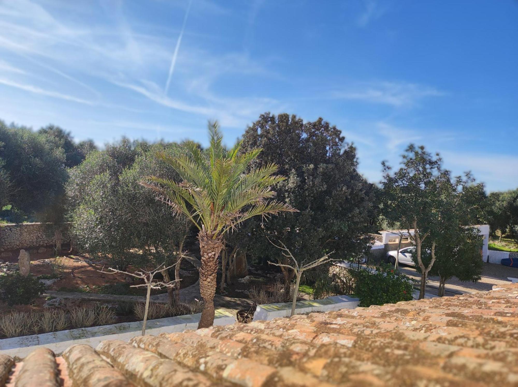 Turismo Rural Biniati Des Pi Sant Lluis Εξωτερικό φωτογραφία