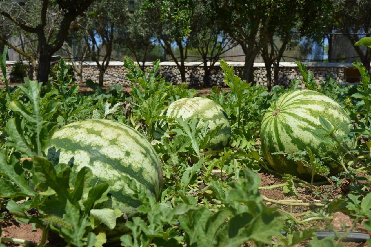 Turismo Rural Biniati Des Pi Sant Lluis Εξωτερικό φωτογραφία